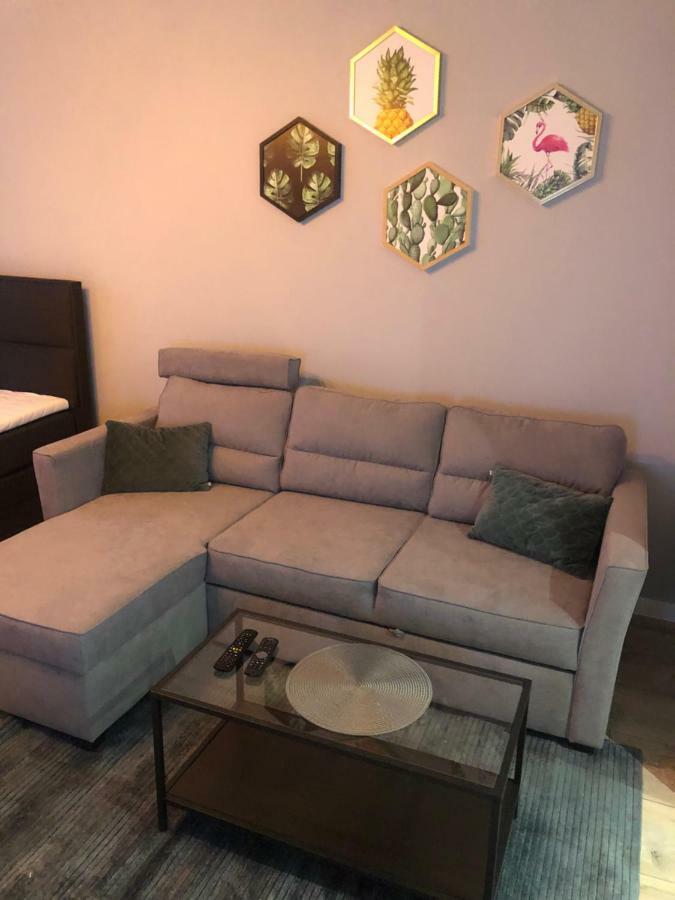 Apartament Flaming Z Balkonem - Scisle Centrum Naprzeciwko Pkp I Pks - Self Check In - Darmowy Parking - Pozne Wymeldowanie - Wystawiamy Fv Opole Ngoại thất bức ảnh